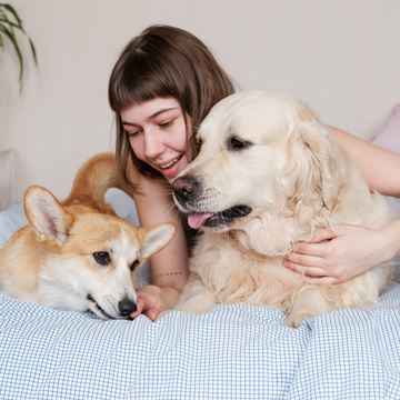 Pets